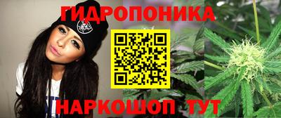 героин Шебекино